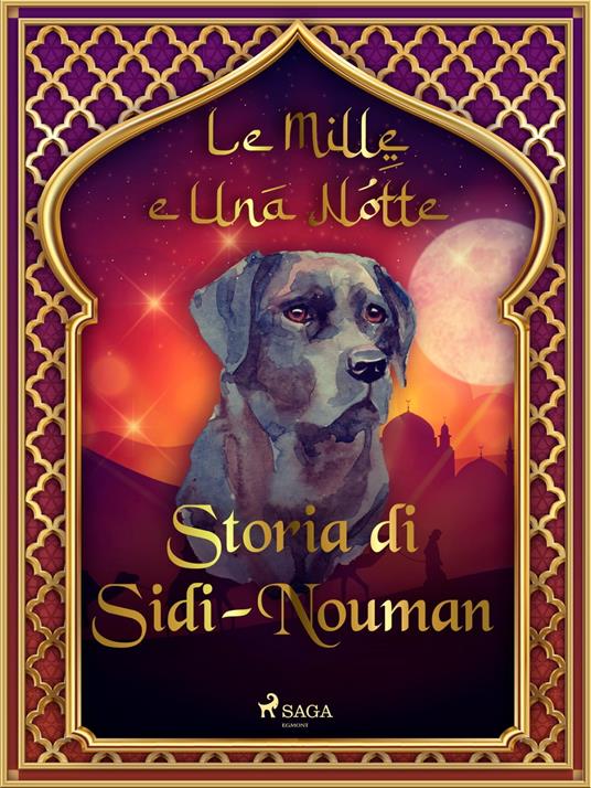 Storia di Sidi-Nouman (Le Mille e Una Notte 56) - One Thousand and One Nights,Antonio Francesco Falconetti - ebook