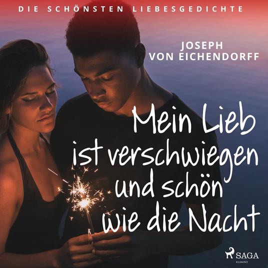 Mein Lieb ist verschwiegen - und schön wie die Nacht. Die schönsten Liebesgedichte