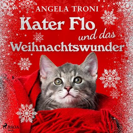 Kater Flo und das Weihnachtswunder