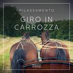 Rilassamento - Giro in carrozza