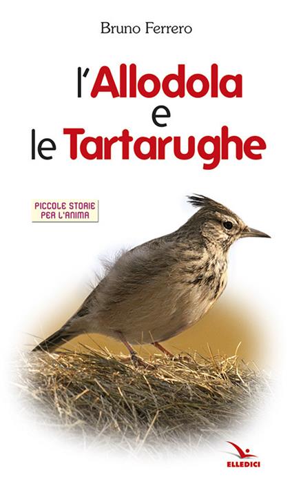 L'allodola e le tartarughe - Bruno Ferrero - copertina