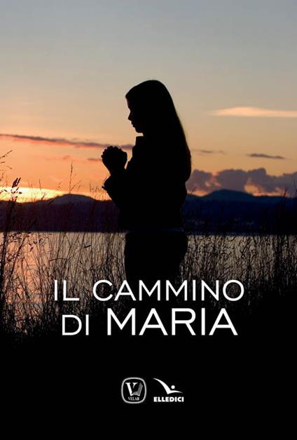 Il cammino di Maria - Massimiliano Taroni,Maria Grazia Pinna - copertina