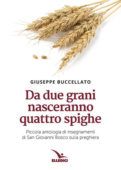 Da due grani nasceranno quattro spighe. Piccola antologia di insegnamenti di San Giovanni Bosco sulla preghiera - Giuseppe Buccellato - copertina