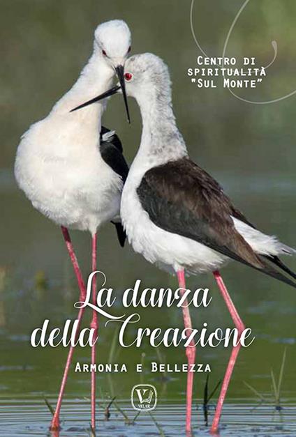 La danza della creazione. Armonia e bellezza - copertina