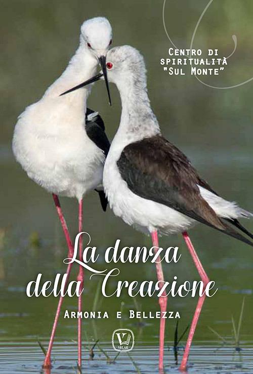 La danza della creazione. Armonia e bellezza - copertina