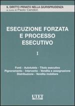 L' Esecuzione forzata e processo esecutivo