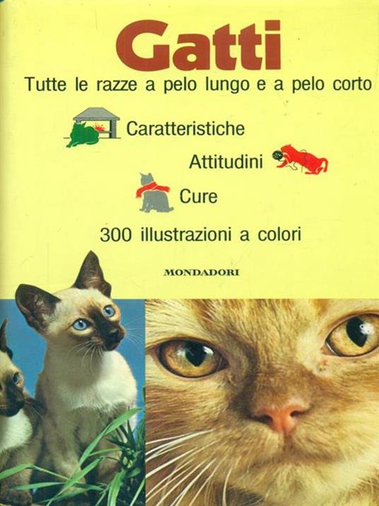 Gatti - Gino Pugnetti - 3