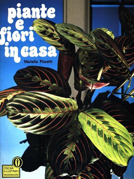 Piante e fiori della casa - Ippolito Pizzetti - copertina