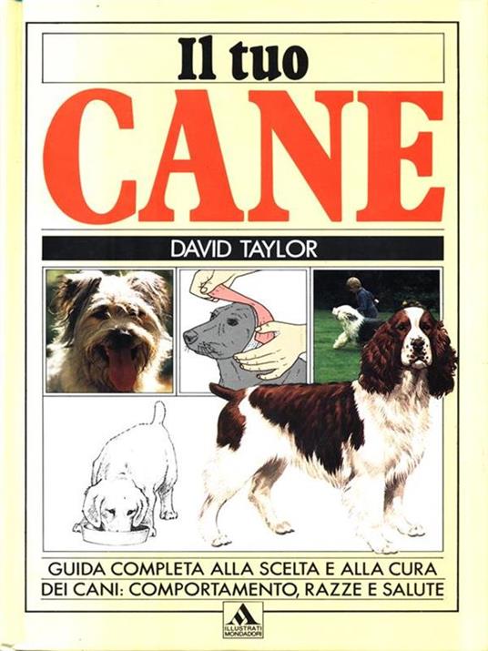 Il tuo cane - David Taylor - 3