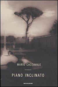 Piano inclinato - Mario Caccavale - 3
