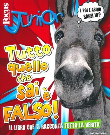 Focus Junior. Tutto quello che sai è falso - Clive Gifford - copertina