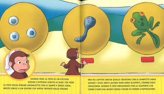 Le rane salterine. Curioso come George. Ediz. a colori. Vol. 2 - S. Di Rosa  - Libro - Mondadori 