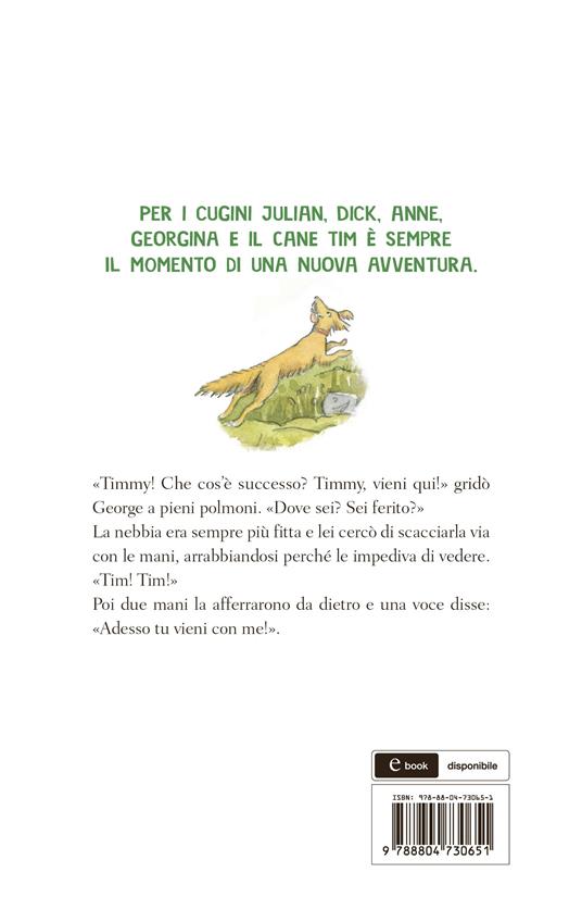 Avventura a cavallo. La banda dei cinque. Vol. 13 - Enid Blyton - 2