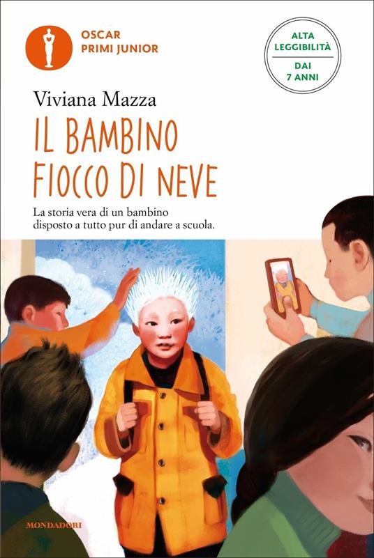 Il bambino fiocco di neve. Ediz. ad alta leggibilità - Viviana Mazza - copertina