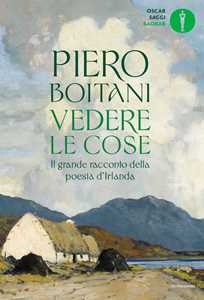 Vedere le cose. Il grande racconto della poesia d'Irlanda