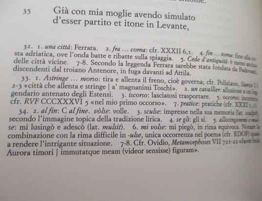 L'Orlando Furioso di Ludovico Ariosto: descrizione, stile, lingua