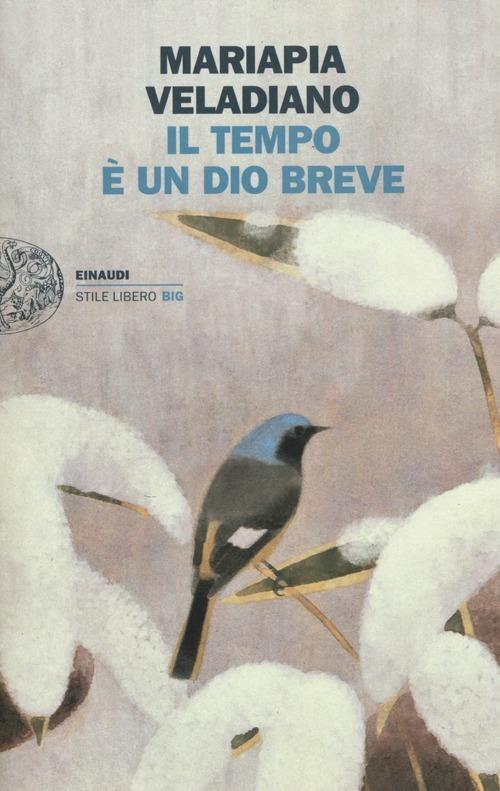 Il tempo è un dio breve - Mariapia Veladiano - copertina