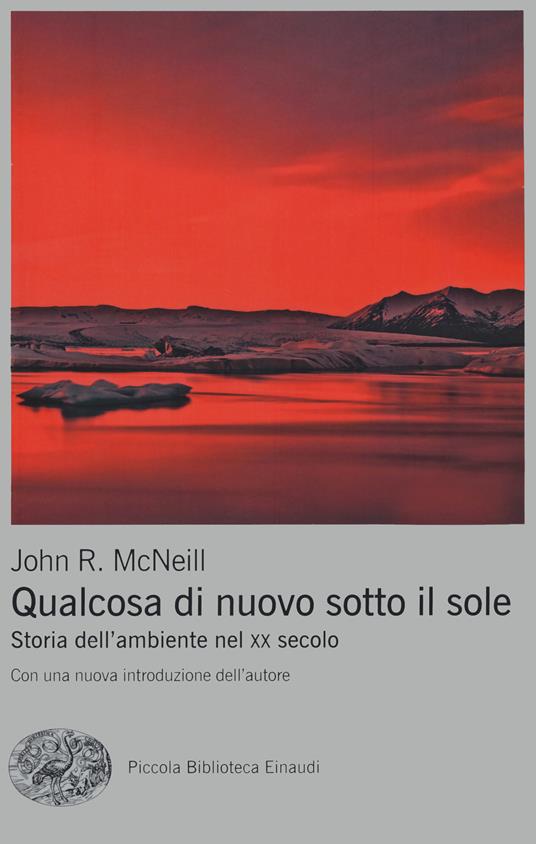 Qualcosa di nuovo sotto il sole. Storia dell'ambiente nel XX secolo - John R. McNeill - copertina