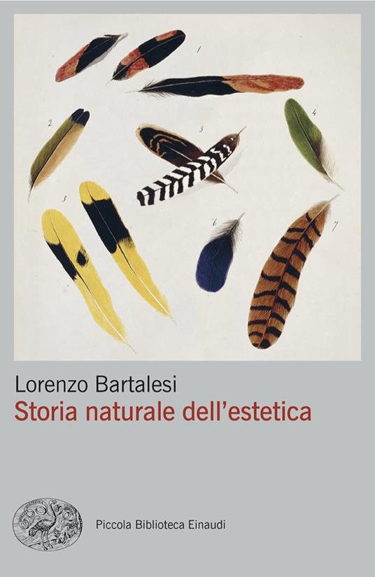 Storia naturale dell'estetica - Lorenzo Bartalesi - copertina