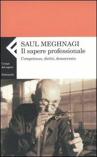 Il sapere professionale. Competenze, diritti, democrazia - Saul Meghnagi - copertina