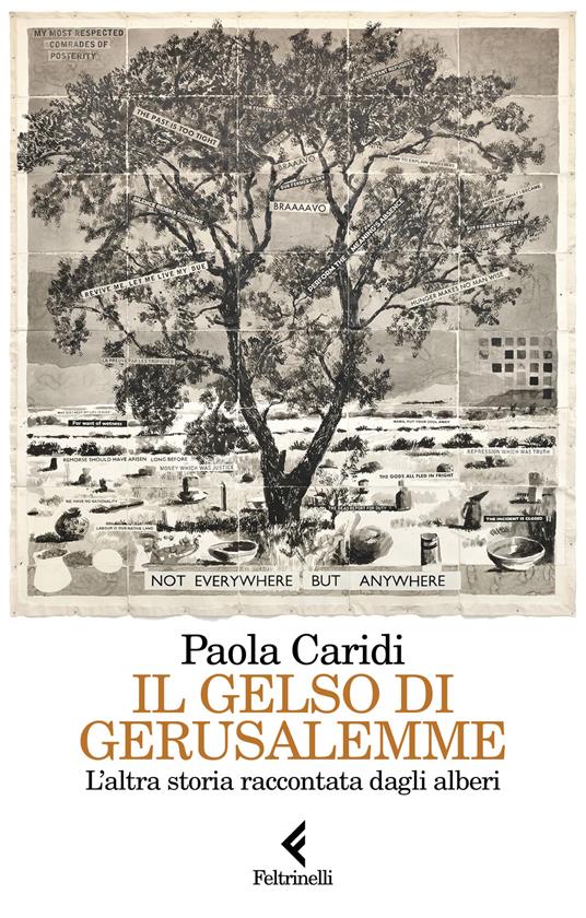 Il gelso di Gerusalemme. L'altra storia raccontata dagli alberi - Paola Caridi - copertina