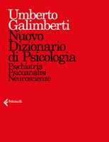 La diagnosi in psichiatria. Ripensare il DSM-5 : Frances, Allen, Moro, D.:  : Libri