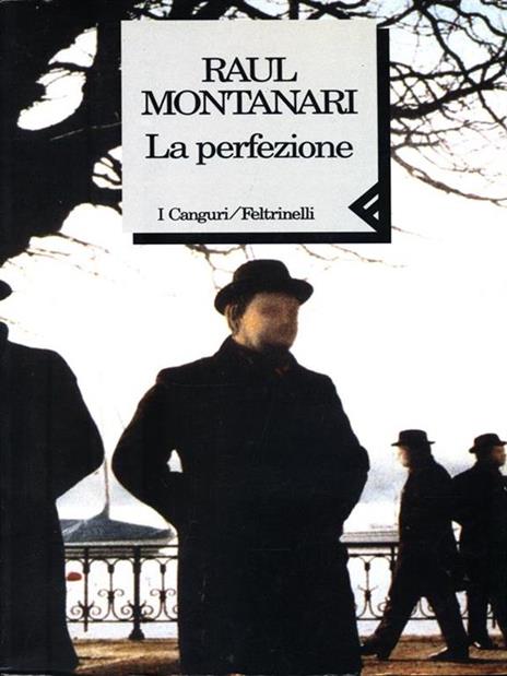 La perfezione - Raul Montanari - copertina