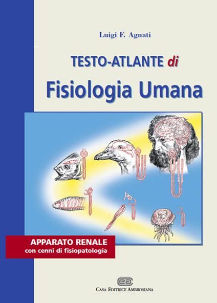 Testo atlante di fisiologia umana. Apparato renale con cenni di fisiopatologia - Luigi F. Agnati - copertina