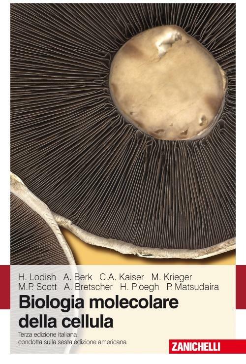 Biologia molecolare della cellula - Libro - Zanichelli - | IBS