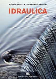 Image of Idraulica. Con Contenuto digitale (fornito elettronicamente)