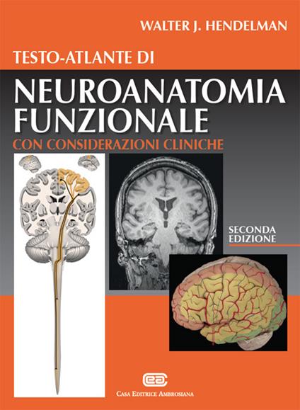 Testo-atlante di neuroanatomia funzionale. Con considerazioni cliniche - Walter J. Hendelman - copertina