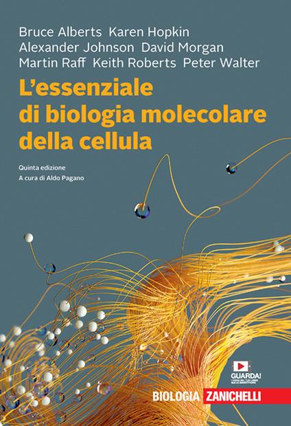 L'essenziale di biologia molecolare della cellula. Con Contenuto digitale (fornito elettronicamente) - Bruce Alberts,Karen Hopkin,Alexander Johnson - copertina