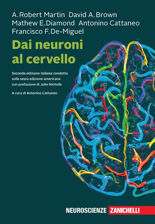 Dai neuroni al cervello. Con ebook - Robert A. Martin,David A. Brown,Mathew E. Diamond - copertina