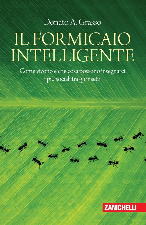 Il formicaio intelligente. Come vivono e che cosa possono insegnarci i più sociali tra gli insetti - Donato A. Grasso - copertina