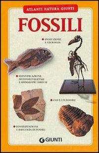 Fossili - Letizia Bertini - copertina