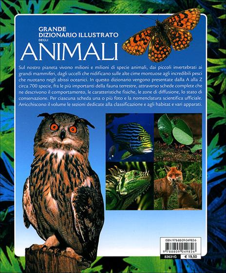 Grande dizionario illustrato degli animali. Ediz. illustrata - Emanuela Busà - 7