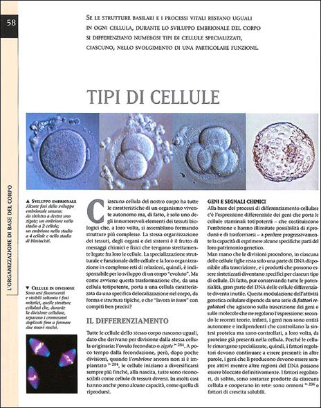 Atlante di fisiologia umana - Adriana Rigutti - 2