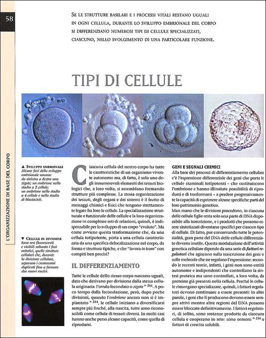 Atlante di fisiologia umana - Adriana Rigutti - 2