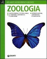 Zoologia. Ediz. illustrata - Adriana Rigutti - copertina