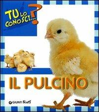 Il pulcino. Ediz. illustrata - Sara Reggiani - copertina