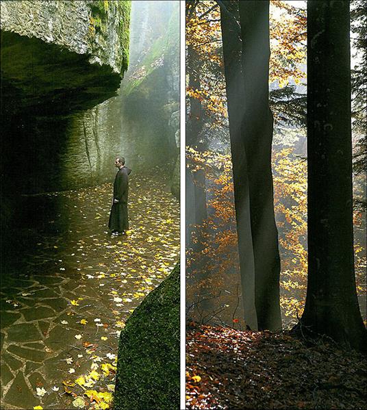 Foreste sacre. Un percorso nel Parco Nazionale delle foreste casentinesi tra natura e spiritualità - Mario Vianelli,Sandro Bassi - 5