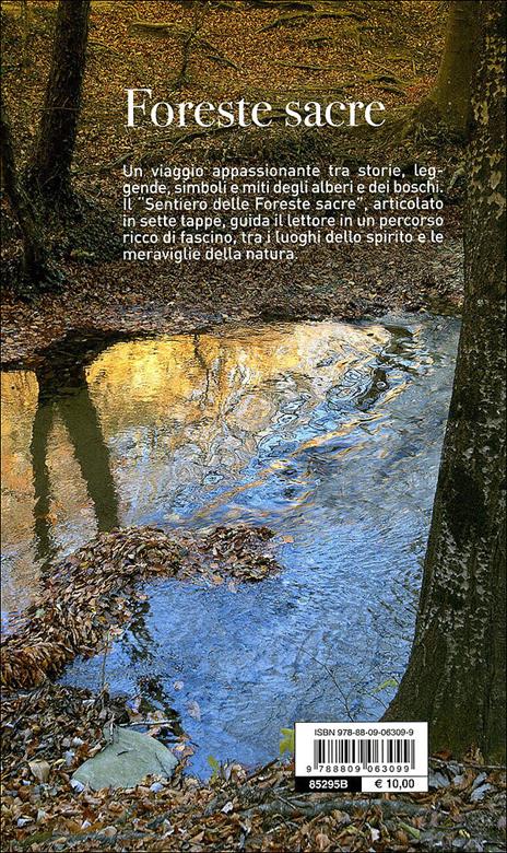 Foreste sacre. Un percorso nel Parco Nazionale delle foreste casentinesi tra natura e spiritualità - Mario Vianelli,Sandro Bassi - 6