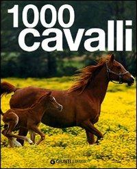 Mille cavalli. Ediz. illustrata - Ulrike Schöber - copertina