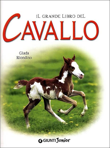 Il grande libro del cavallo. Storia, anatomia, cure, razze, esercizi. Ediz. illustrata - Giada Riondino - 2