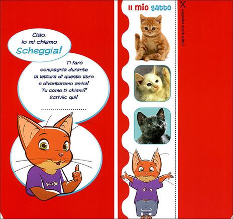 Il mio gatto. Il carattere. L'alimentazione. Le cure. Con stickers - Bruno Tenerezza - 4