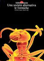 Una società alternativa: le formiche -  Roberto Argano, Maurizio Mei - copertina