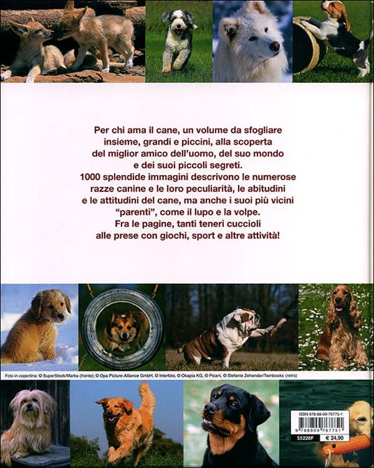 1000 cani. Ediz. illustrata - Miriam Kuhl,Jennifer Willms,Beate Ralston - 5