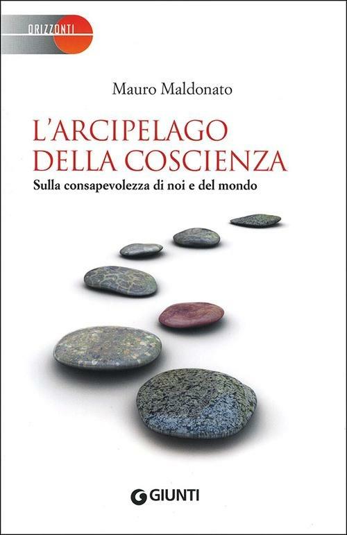 L' arcipelago della coscienza. Sulla consapevolezza di noi e del mondo - Mauro Maldonato - copertina