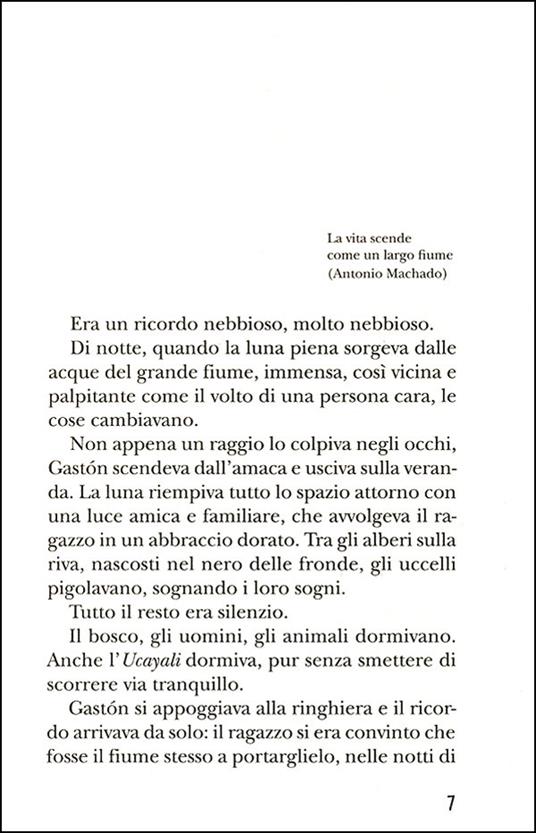 Gastón e la ricetta perfetta - Anna Lavatelli - Libro - Giunti Junior -  GRU. Giunti ragazzi universale