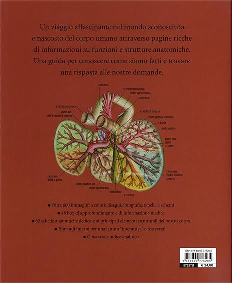 Atlante di anatomia by Rigutti, Adriana Book The Fast Free Shipping